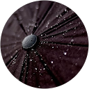 ChIJtUG1b5c wooR8lqrydnKcJM 9be08d34bd77003b605b959729f1cd1c