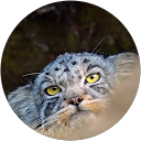 Kuba Nawrocki profile picture