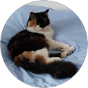 Bernadeta Starybrat profile picture